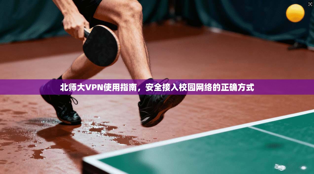 北师大VPN使用指南,安全接入校园网络的正确方式