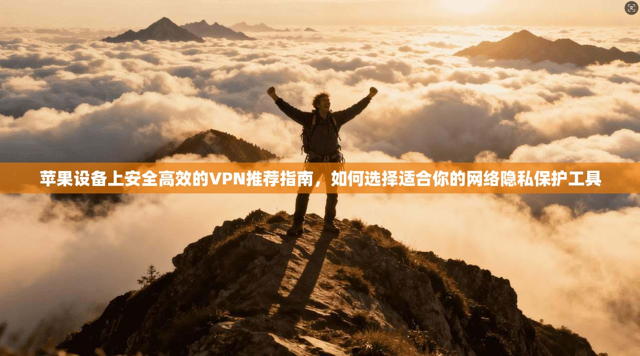 苹果设备上安全高效的VPN推荐指南,如何选择适合你的网络隐私保护工具