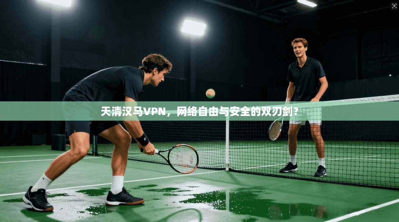 天清汉马VPN，网络自由与安全的双刃剑？