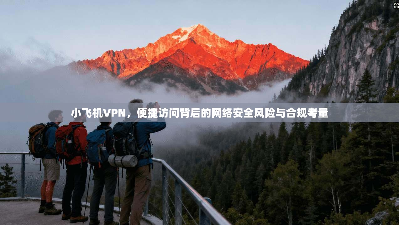 小飞机VPN，便捷访问背后的网络安全风险与合规考量