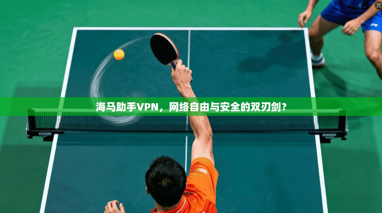 海马助手VPN，网络自由与安全的双刃剑？