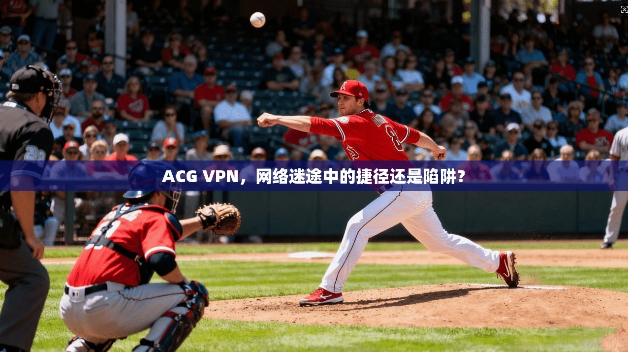 ACG VPN，网络迷途中的捷径还是陷阱？  第1张