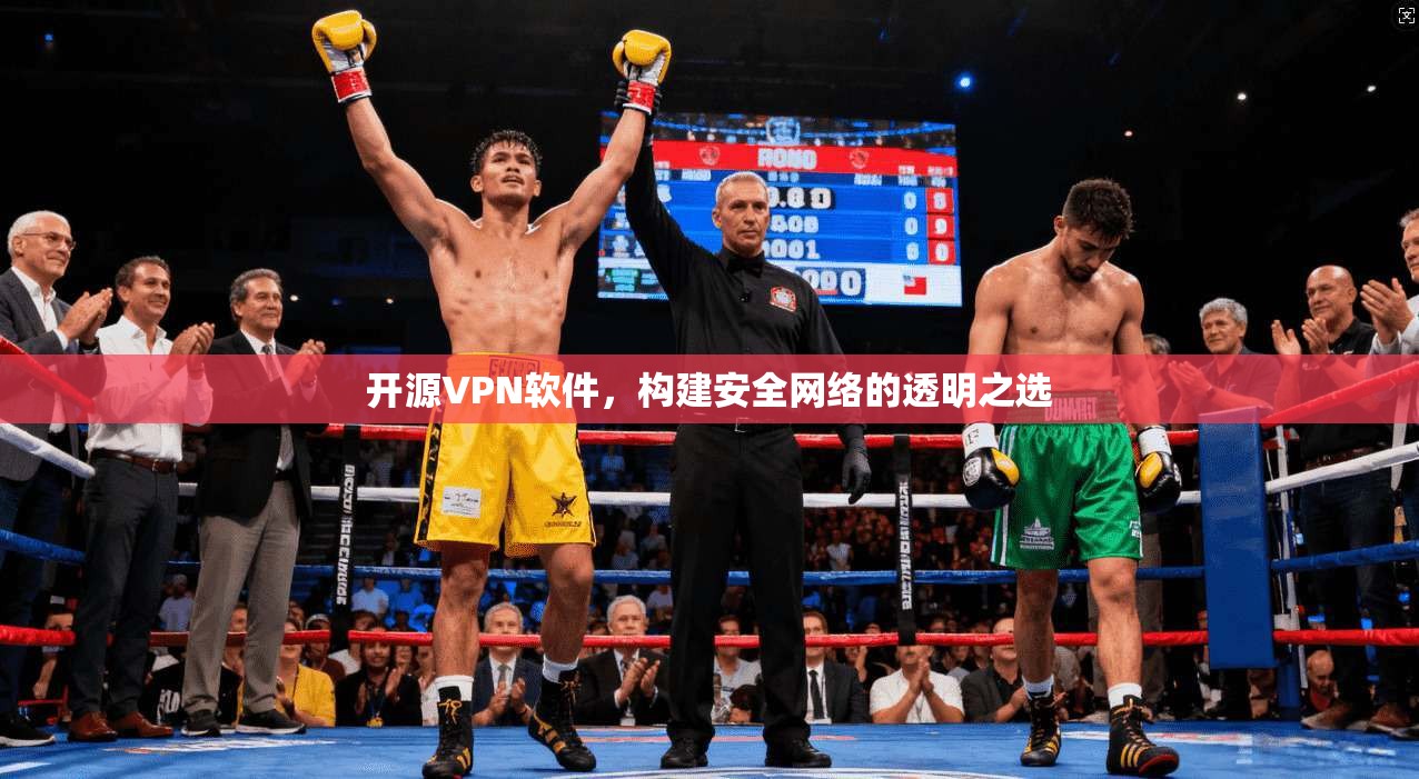 开源VPN软件，构建安全网络的透明之选  第1张