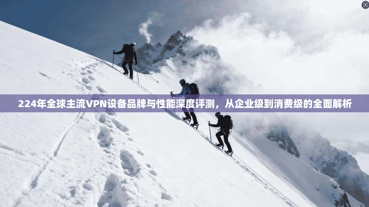 224年全球主流VPN设备品牌与性能深度评测，从企业级到消费级的全面解析  第1张