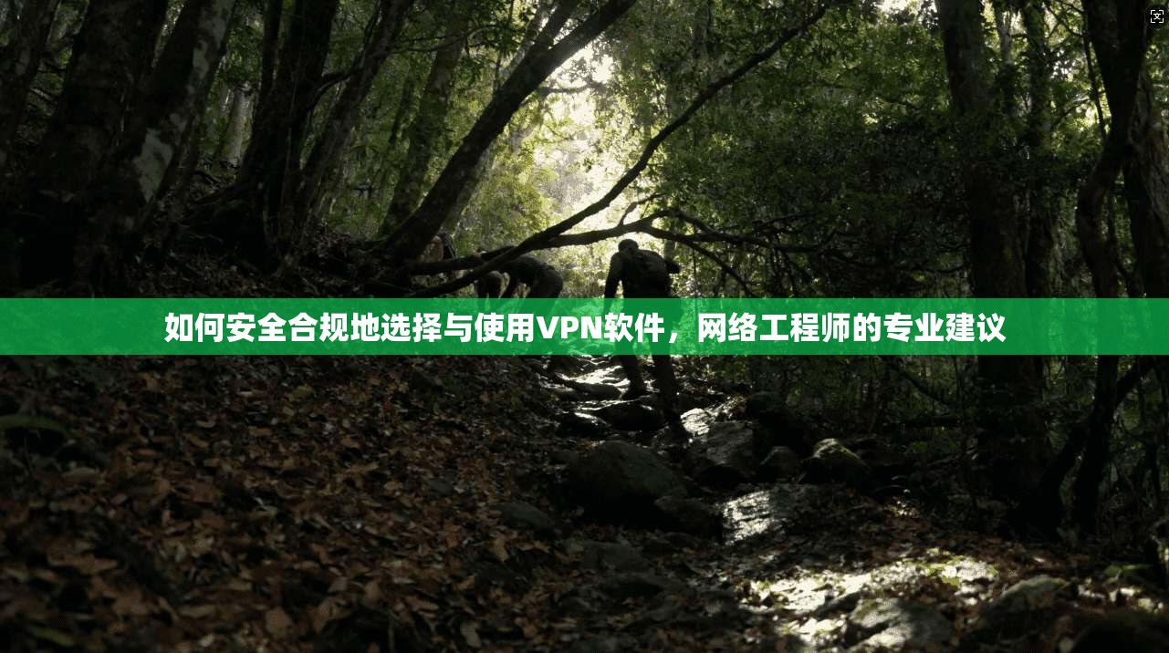 如何安全合规地选择与使用VPN软件，网络工程师的专业建议  第1张