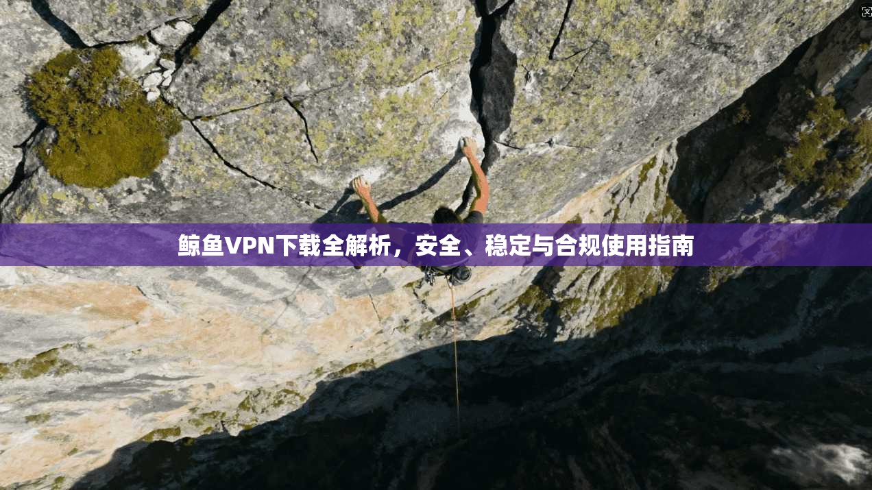 鲸鱼VPN下载全解析，安全、稳定与合规使用指南