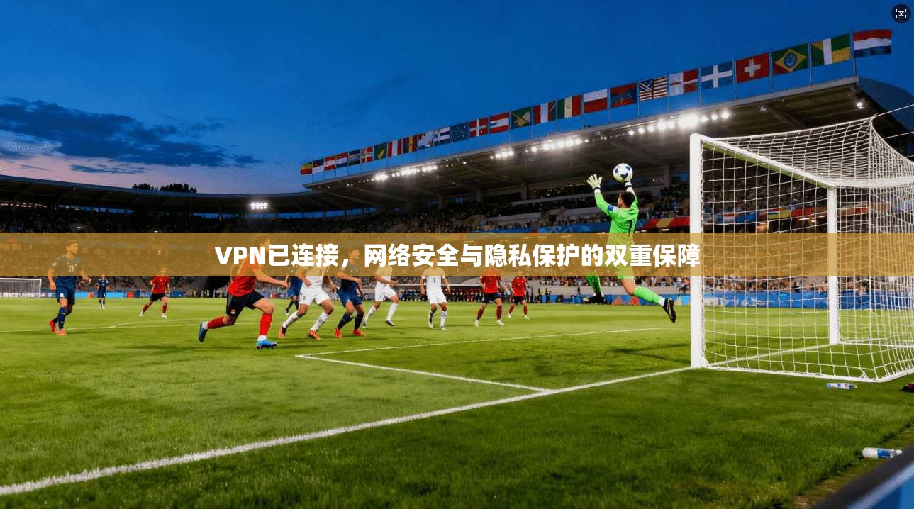 VPN已连接，网络安全与隐私保护的双重保障