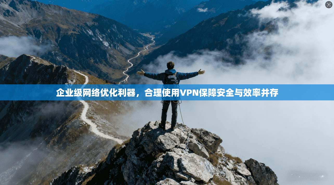 企业级网络优化利器，合理使用VPN保障安全与效率并存