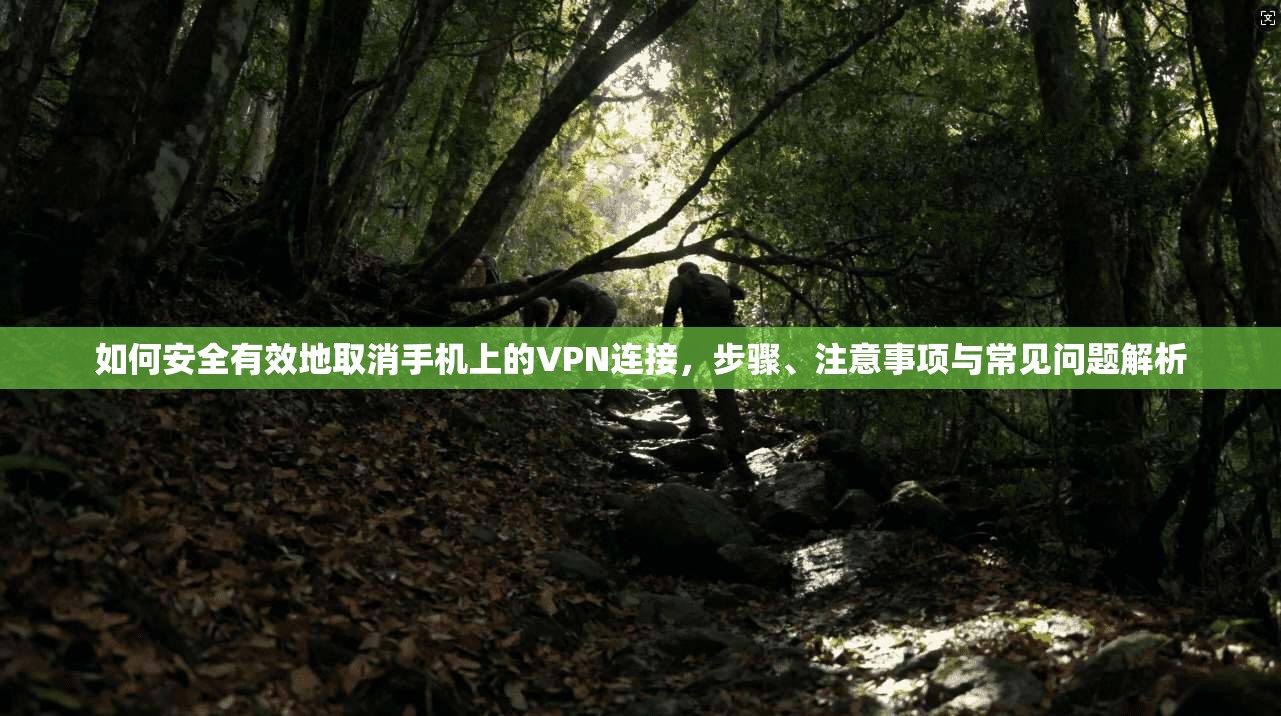 如何安全有效地取消手机上的VPN连接,步骤、注意事项与常见问题解析