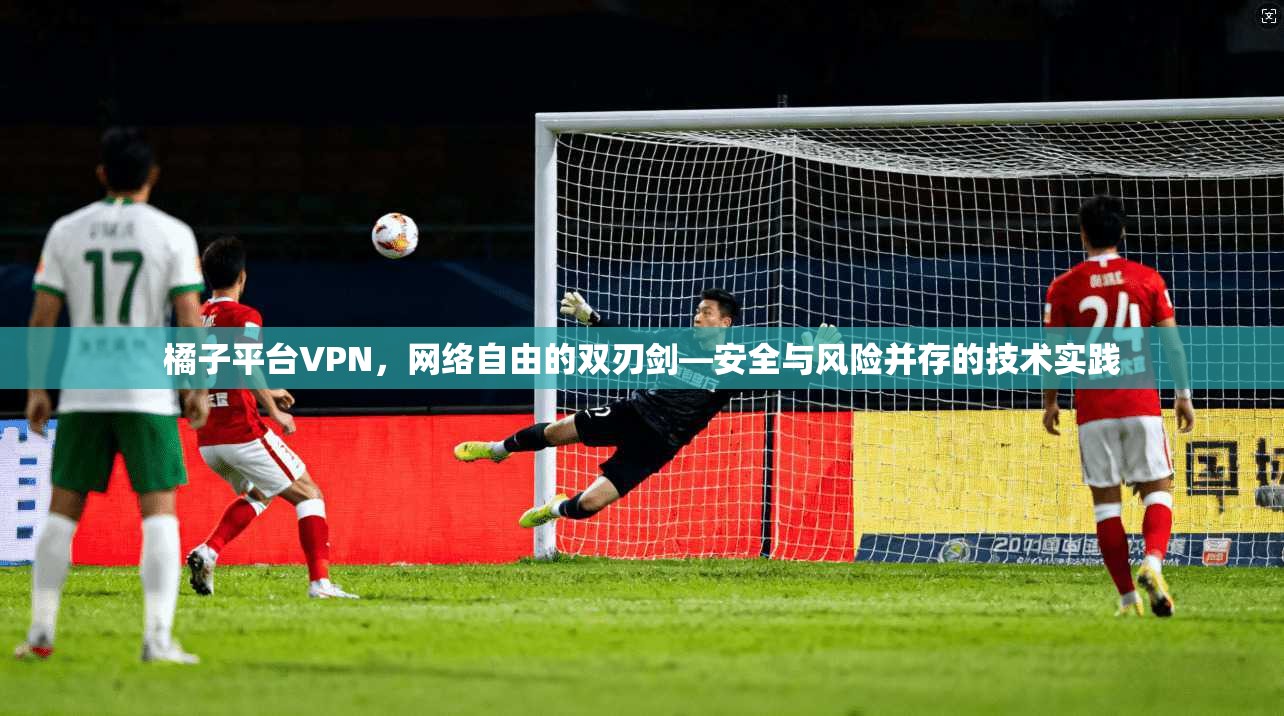 橘子平台VPN，网络自由的双刃剑—安全与风险并存的技术实践