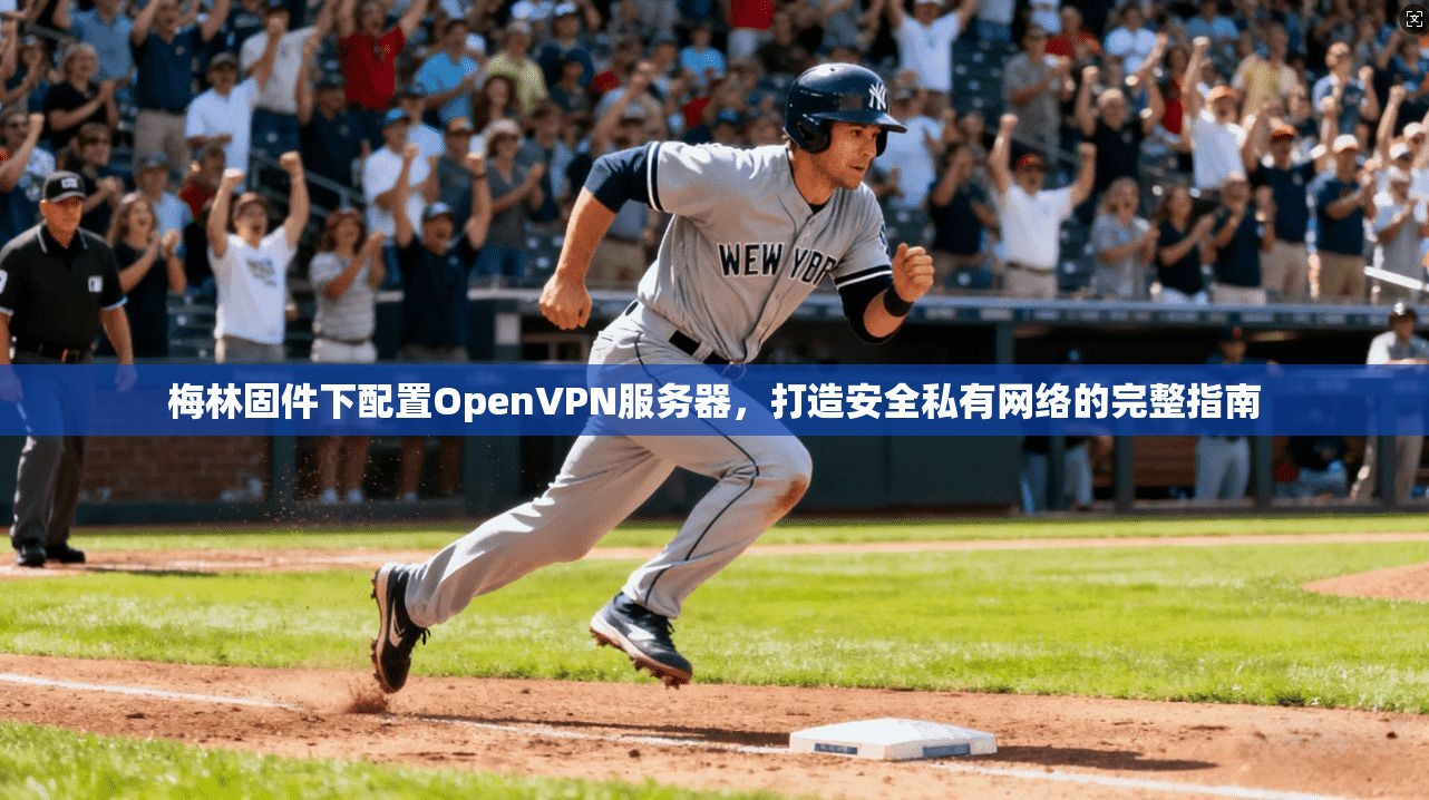梅林固件下配置OpenVPN服务器，打造安全私有网络的完整指南