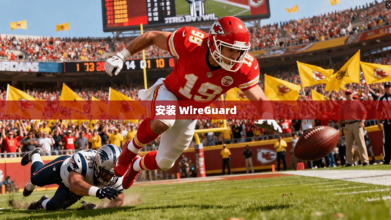 安装 WireGuard