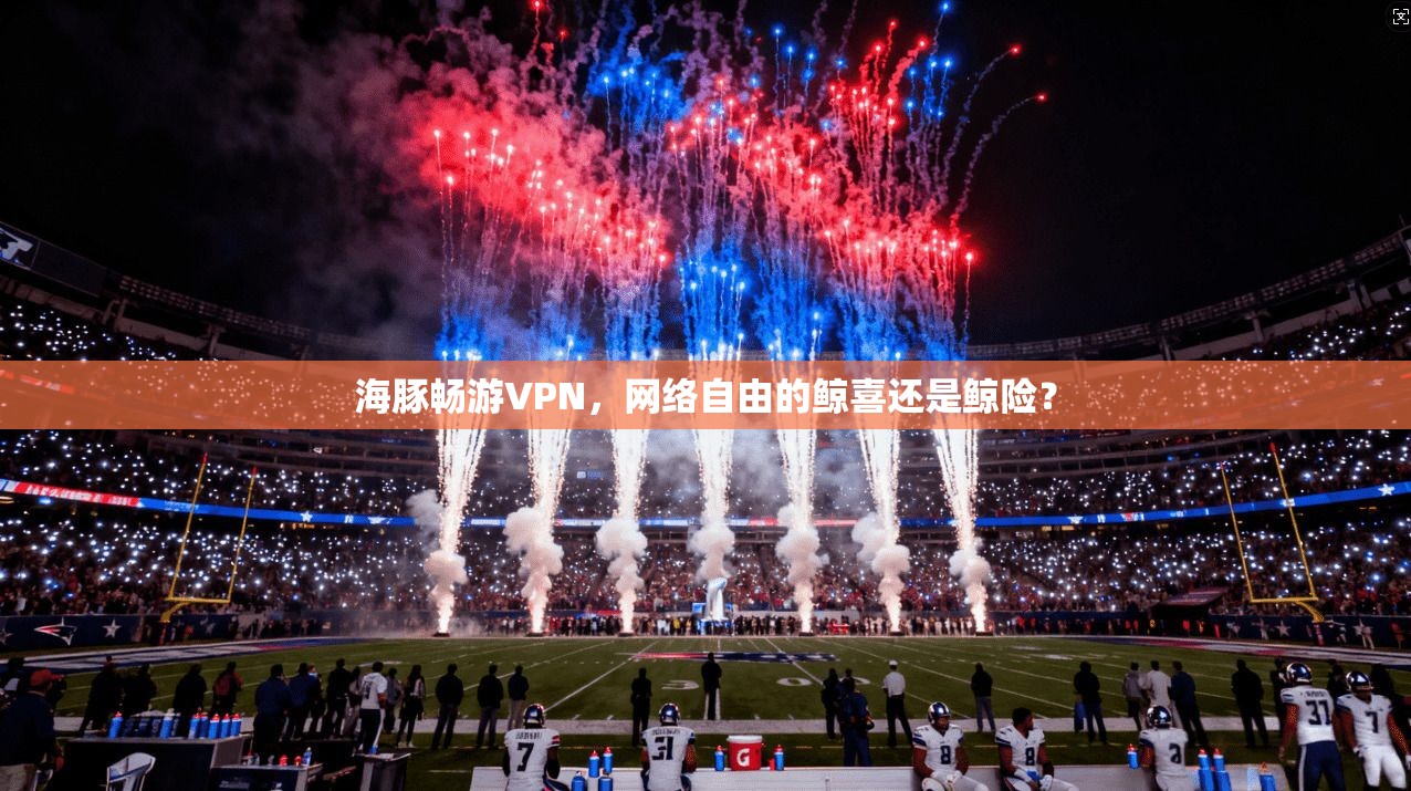 海豚畅游VPN，网络自由的鲸喜还是鲸险？