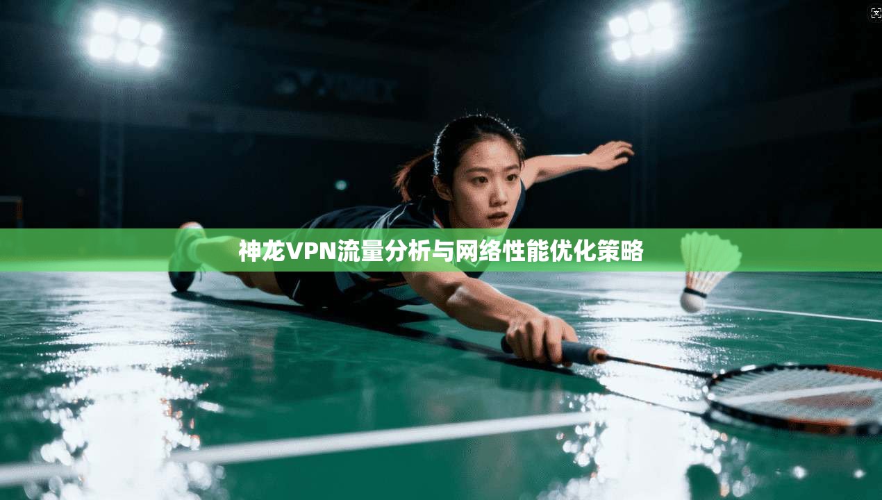 神龙VPN流量分析与网络性能优化策略  第1张