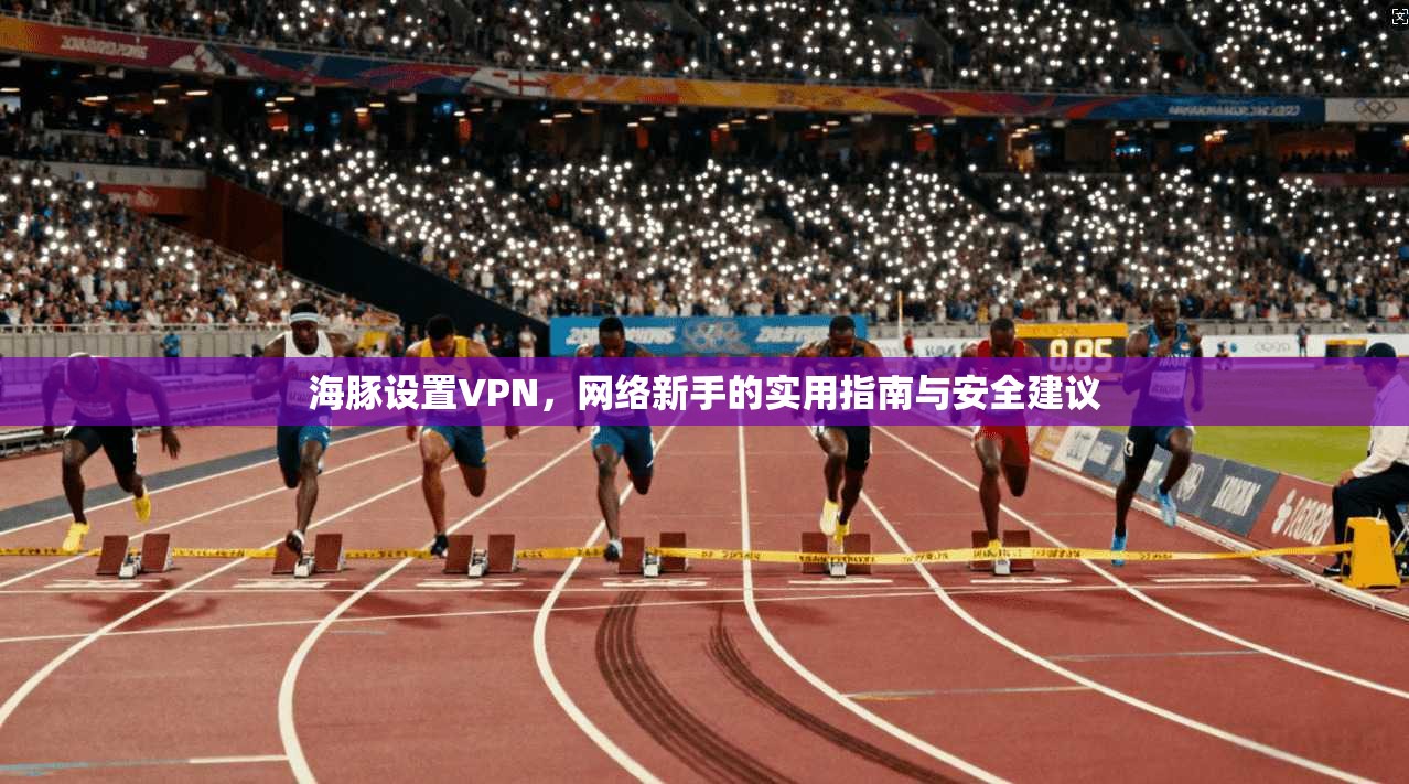 海豚设置VPN，网络新手的实用指南与安全建议