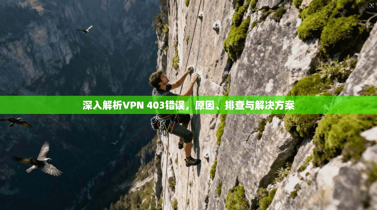 深入解析VPN 403错误,原因、排查与解决方案