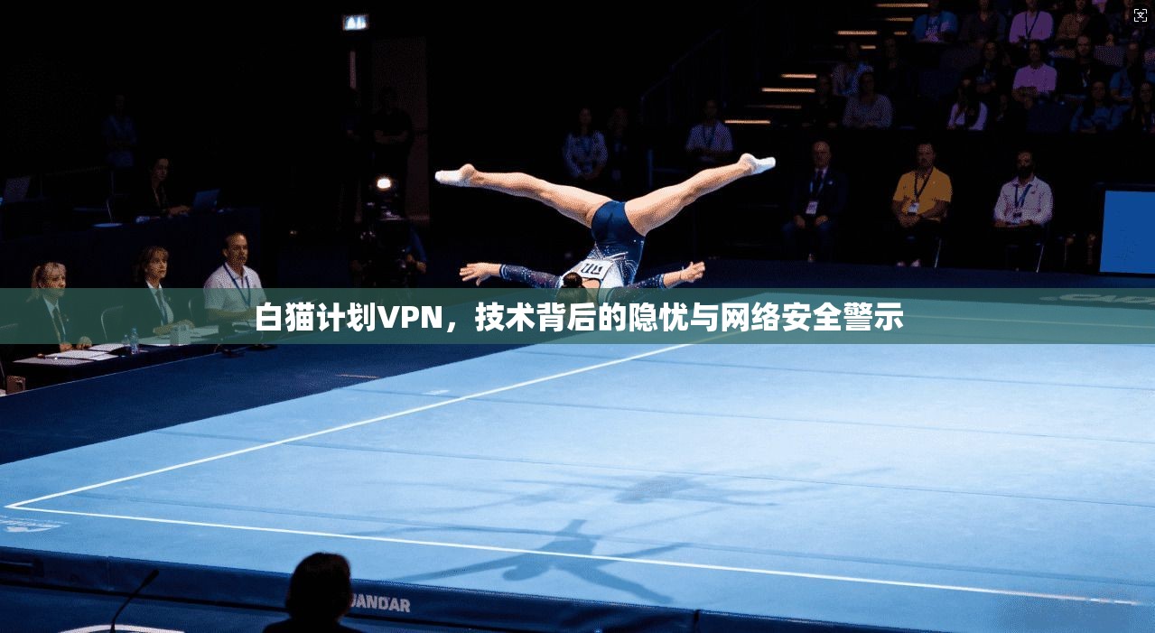 白猫计划VPN，技术背后的隐忧与网络安全警示