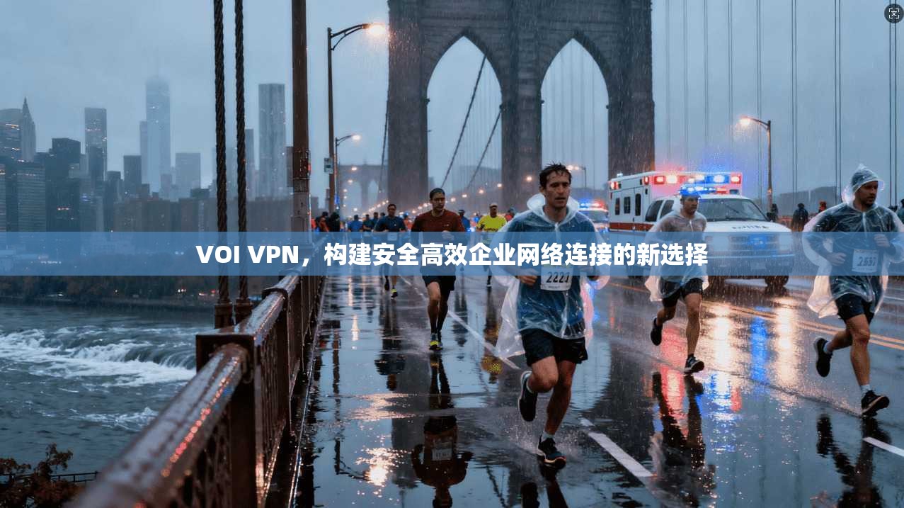 VOI VPN，构建安全高效企业网络连接的新选择
