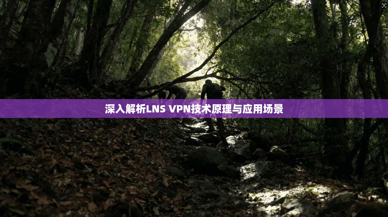 深入解析LNS VPN技术原理与应用场景
