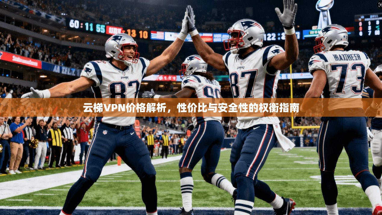 云梯VPN价格解析，性价比与安全性的权衡指南