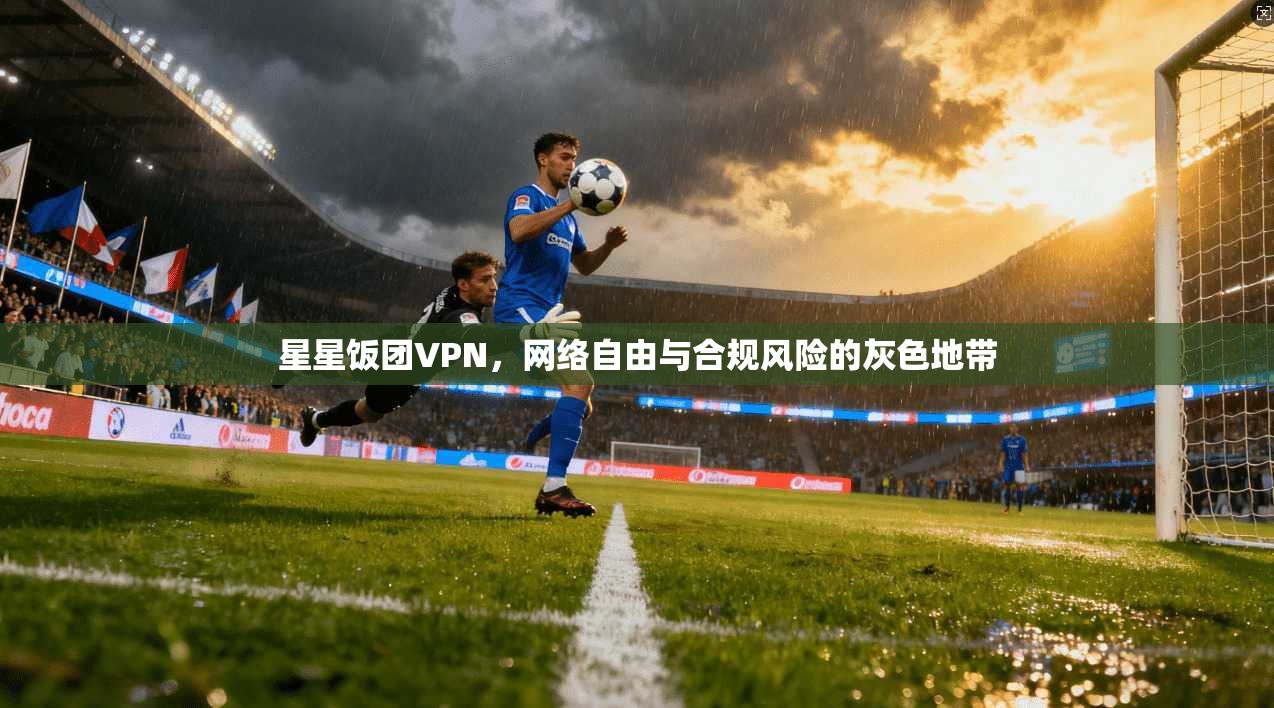 星星饭团VPN,网络自由与合规风险的灰色地带