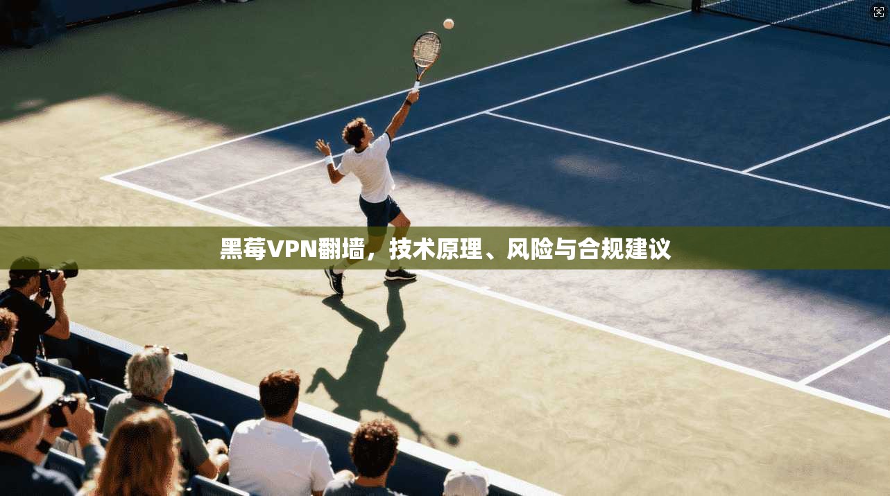 黑莓VPN翻墙，技术原理、风险与合规建议  第1张