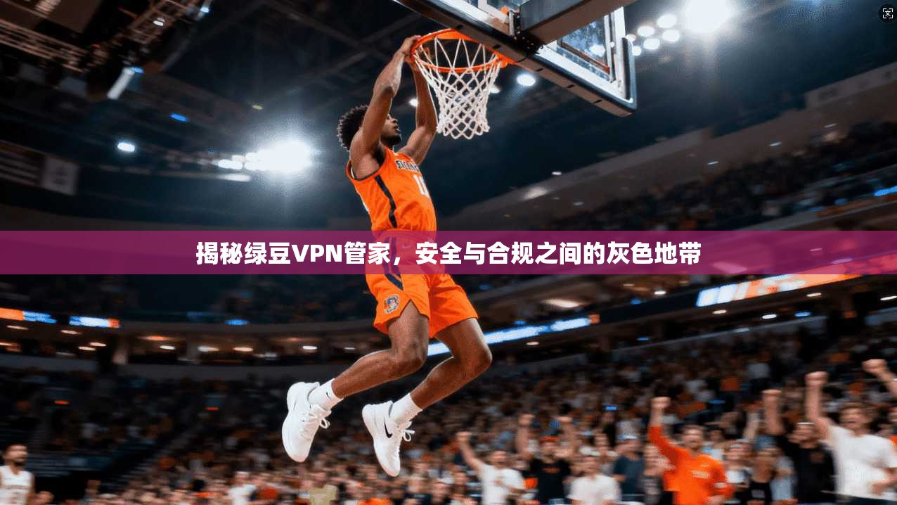 揭秘绿豆VPN管家，安全与合规之间的灰色地带