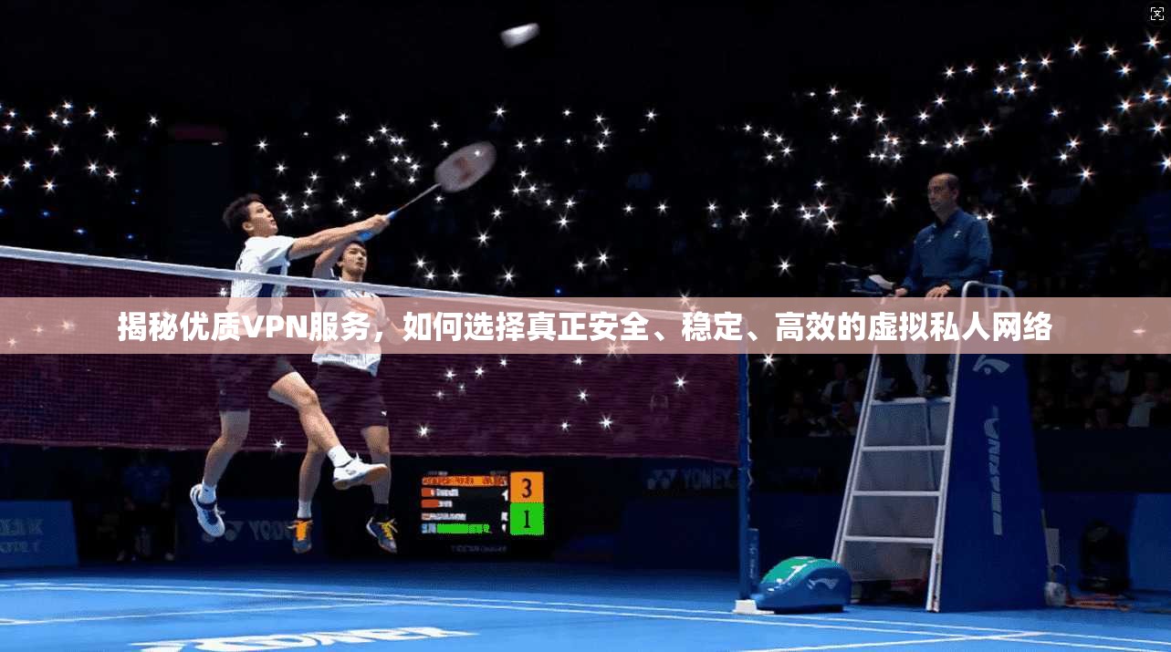揭秘优质VPN服务，如何选择真正安全、稳定、高效的虚拟私人网络