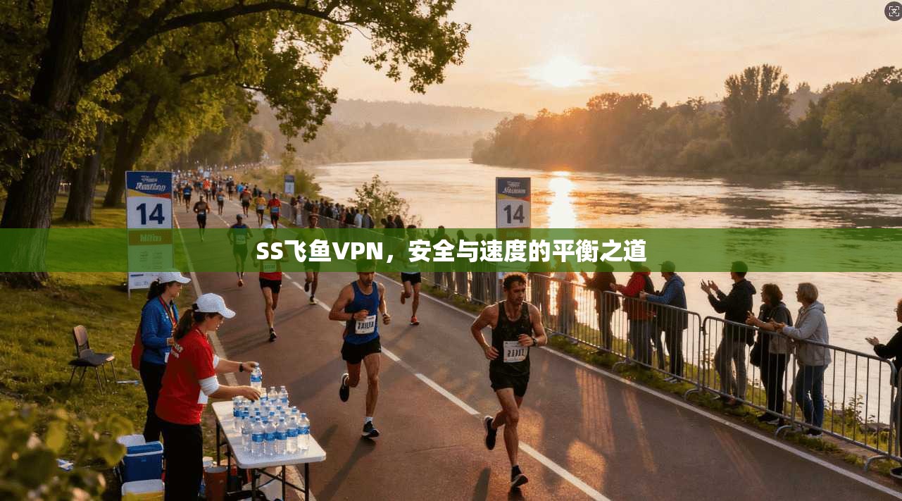 SS飞鱼VPN，安全与速度的平衡之道