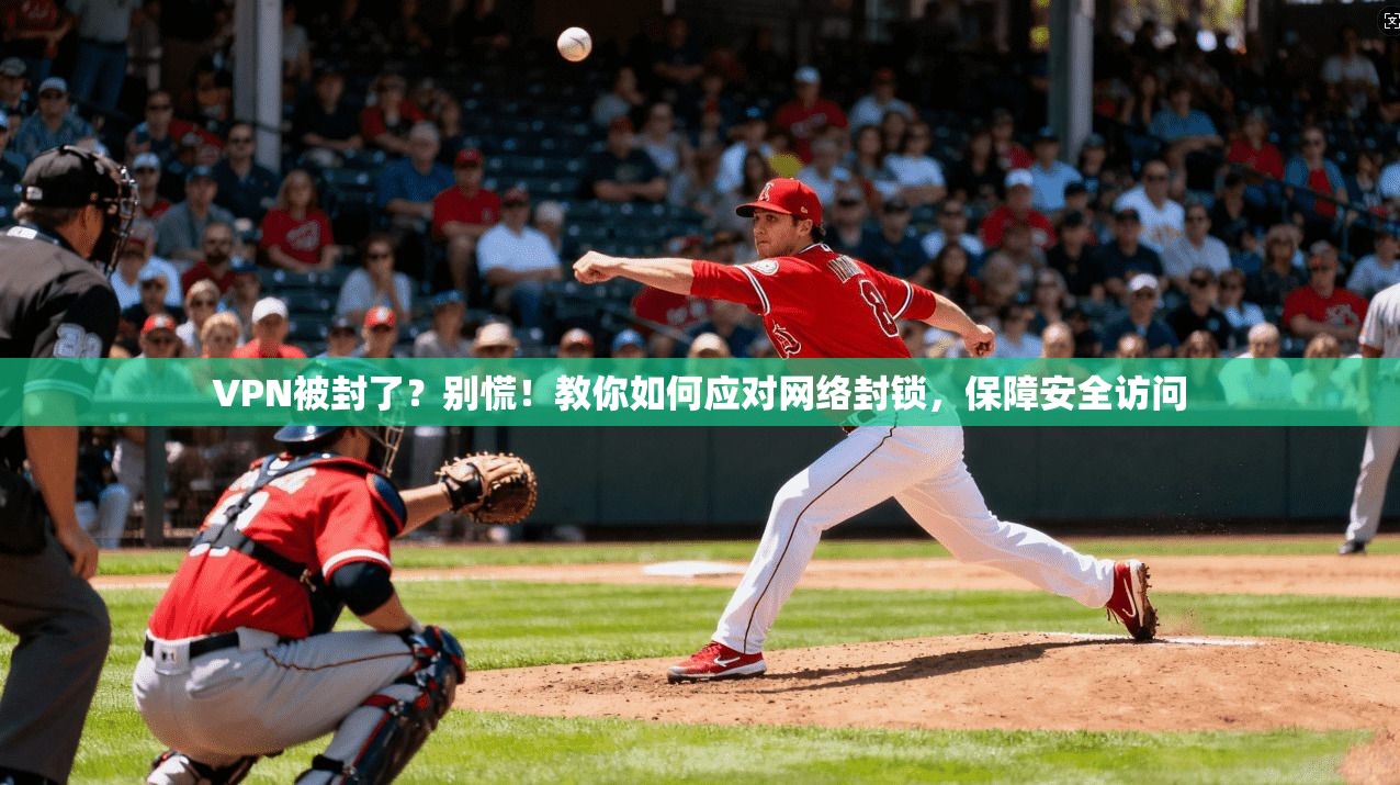 VPN被封了？别慌！教你如何应对网络封锁，保障安全访问