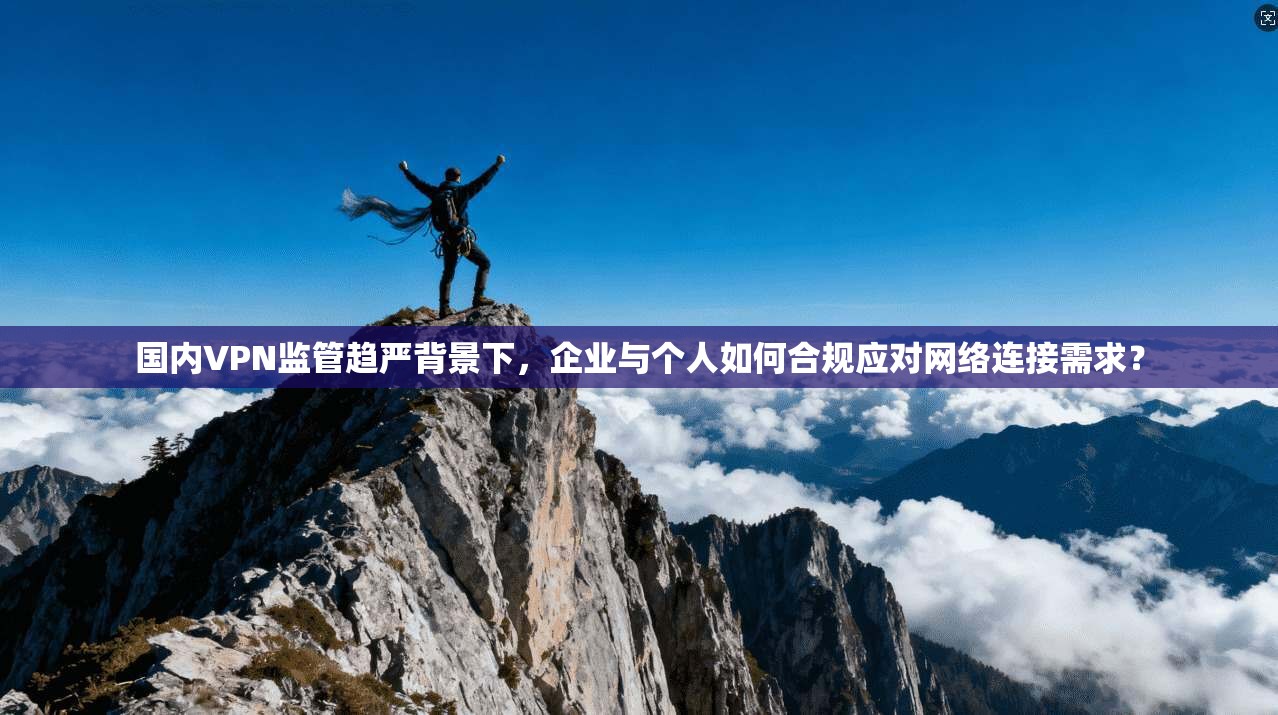国内VPN监管趋严背景下，企业与个人如何合规应对网络连接需求？