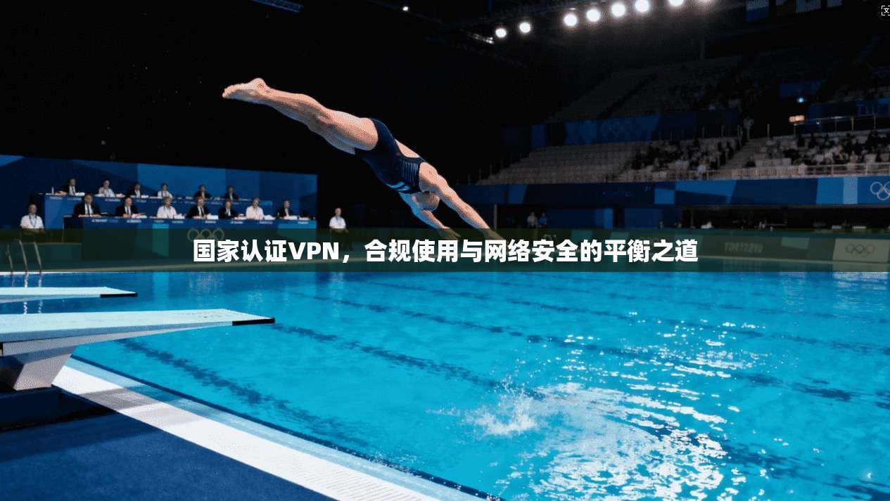 国家认证VPN，合规使用与网络安全的平衡之道  第1张