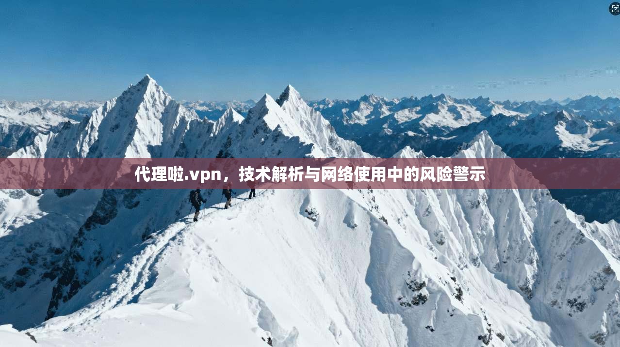代理啦.vpn，技术解析与网络使用中的风险警示