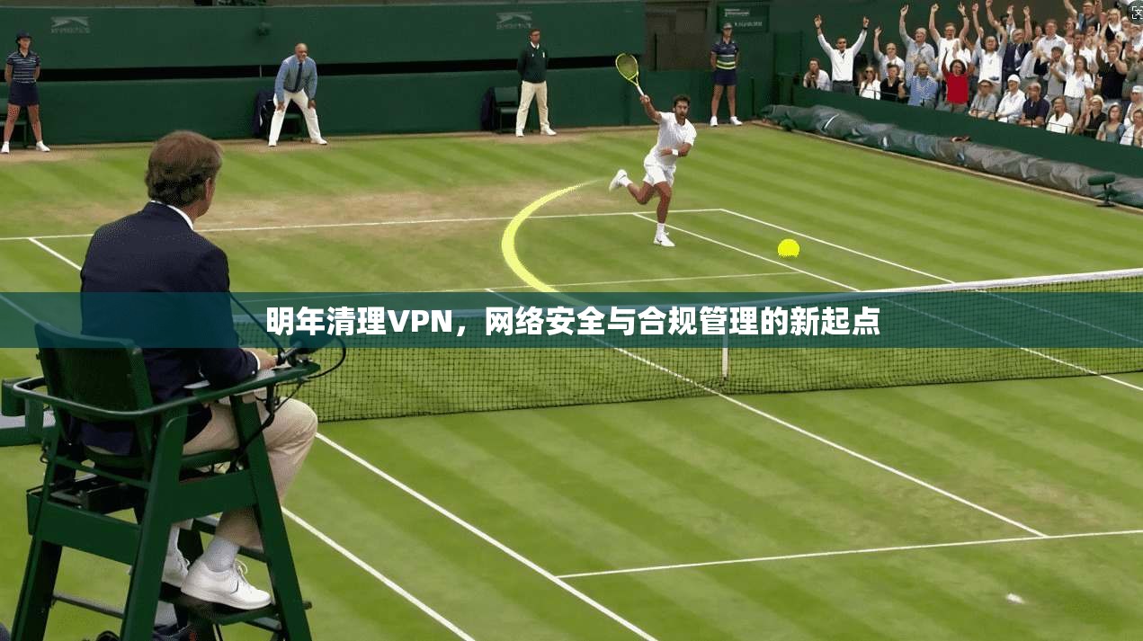 明年清理VPN，网络安全与合规管理的新起点