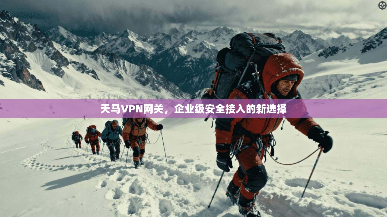 天马VPN网关，企业级安全接入的新选择