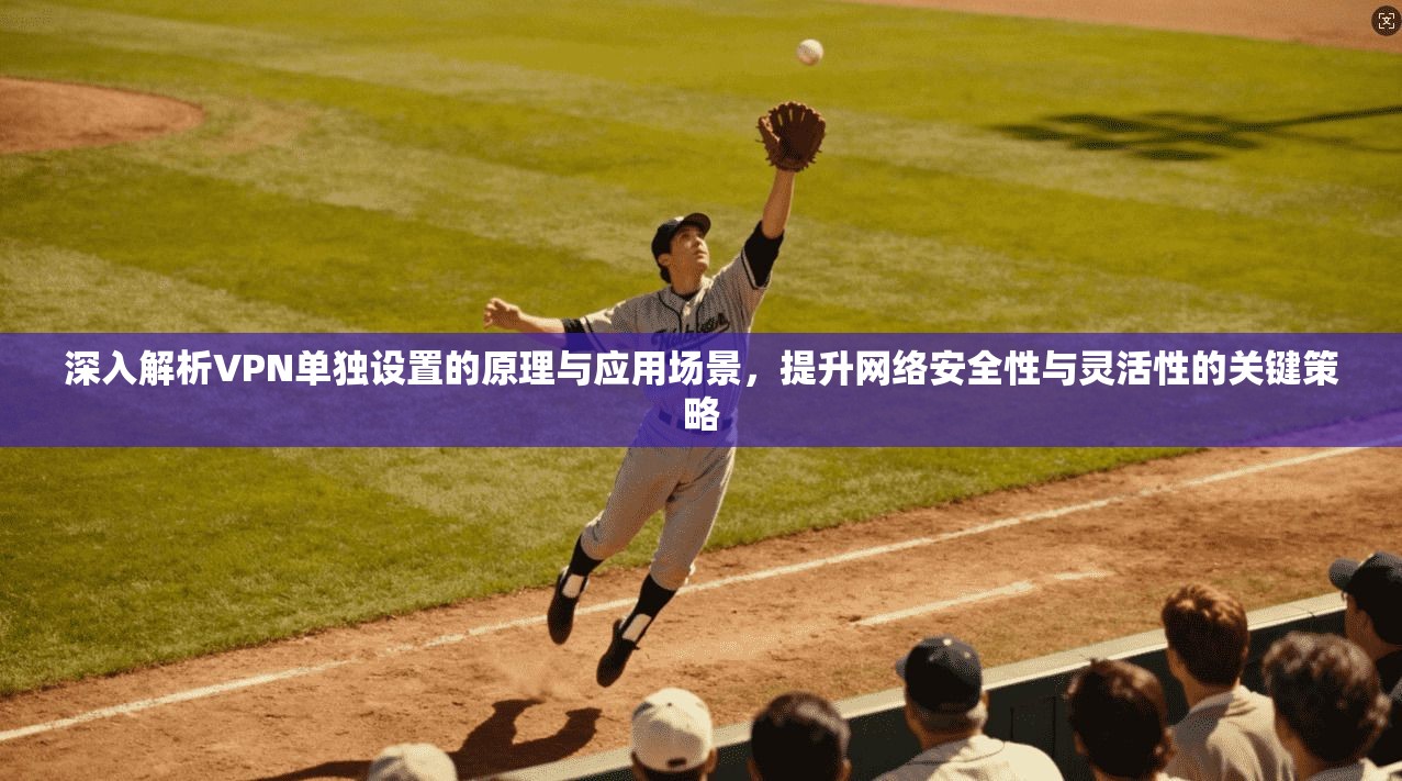 深入解析VPN单独设置的原理与应用场景，提升网络安全性与灵活性的关键策略