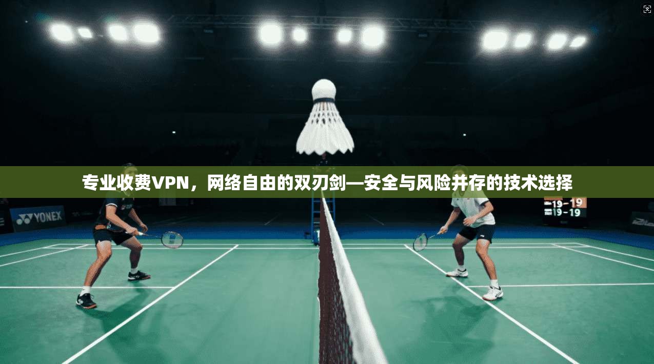 专业收费VPN，网络自由的双刃剑—安全与风险并存的技术选择