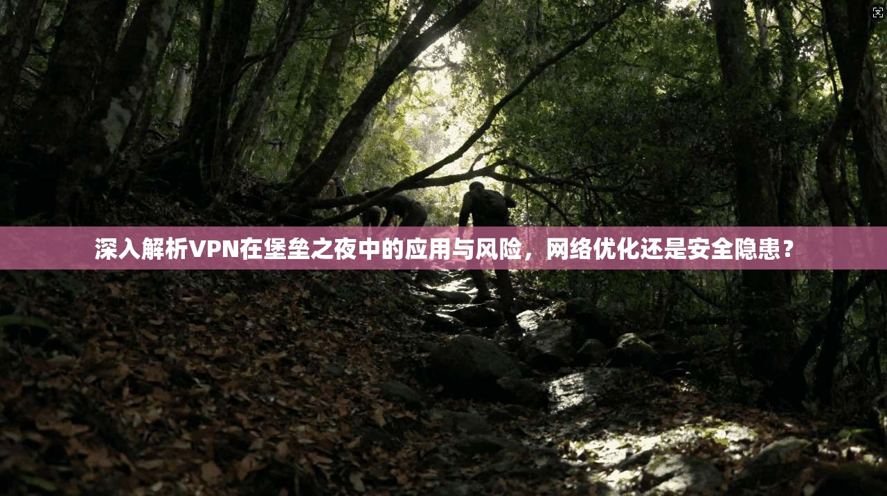 深入解析VPN在堡垒之夜中的应用与风险，网络优化还是安全隐患？