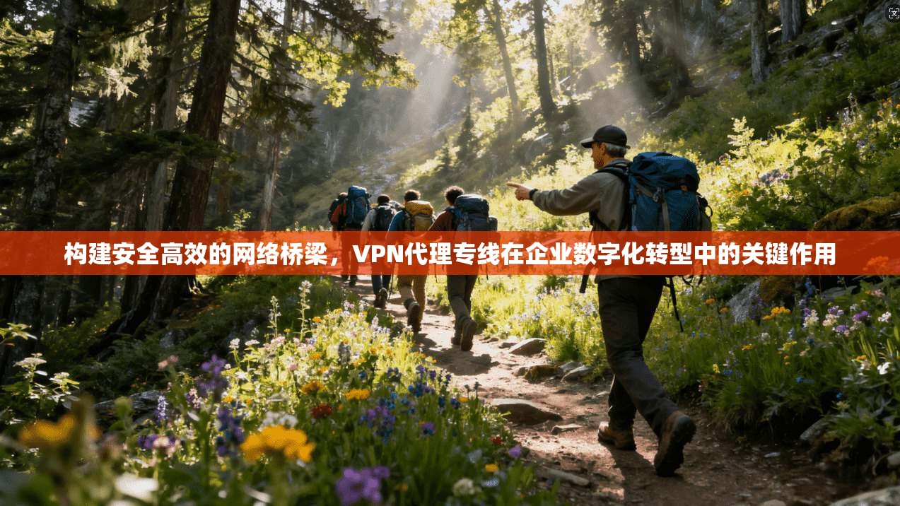 构建安全高效的网络桥梁，VPN代理专线在企业数字化转型中的关键作用