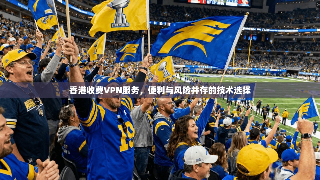 香港收费VPN服务，便利与风险并存的技术选择