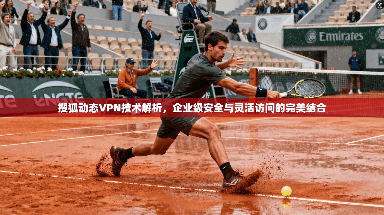 搜狐动态VPN技术解析，企业级安全与灵活访问的完美结合