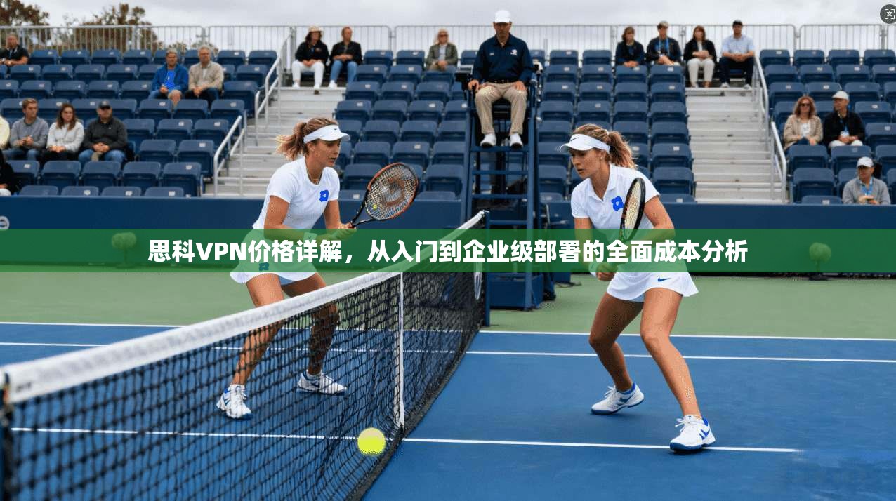 思科VPN价格详解，从入门到企业级部署的全面成本分析