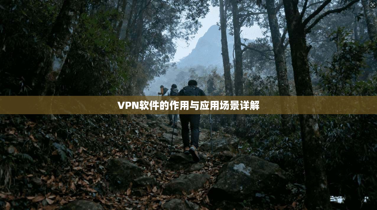 VPN软件的作用与应用场景详解