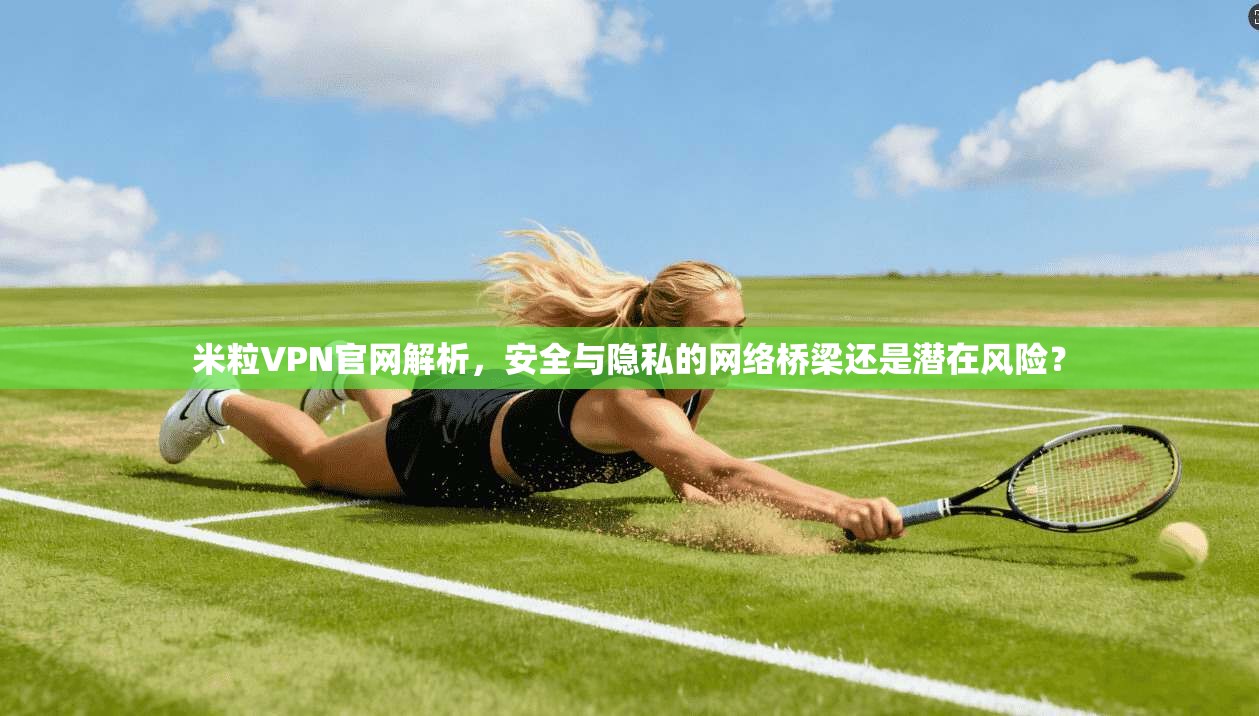米粒VPN官网解析，安全与隐私的网络桥梁还是潜在风险？
