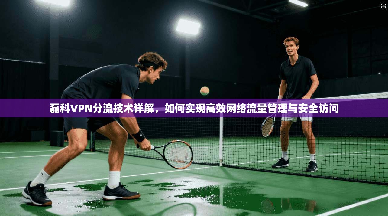 磊科VPN分流技术详解，如何实现高效网络流量管理与安全访问