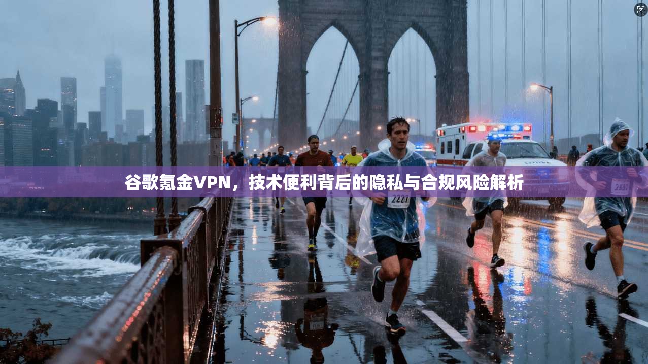 谷歌氪金VPN,技术便利背后的隐私与合规风险解析