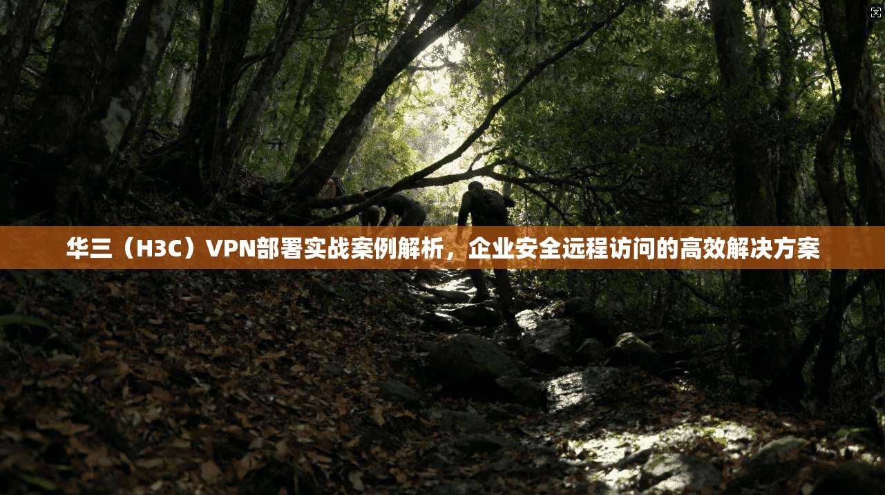 华三（H3C）VPN部署实战案例解析，企业安全远程访问的高效解决方案