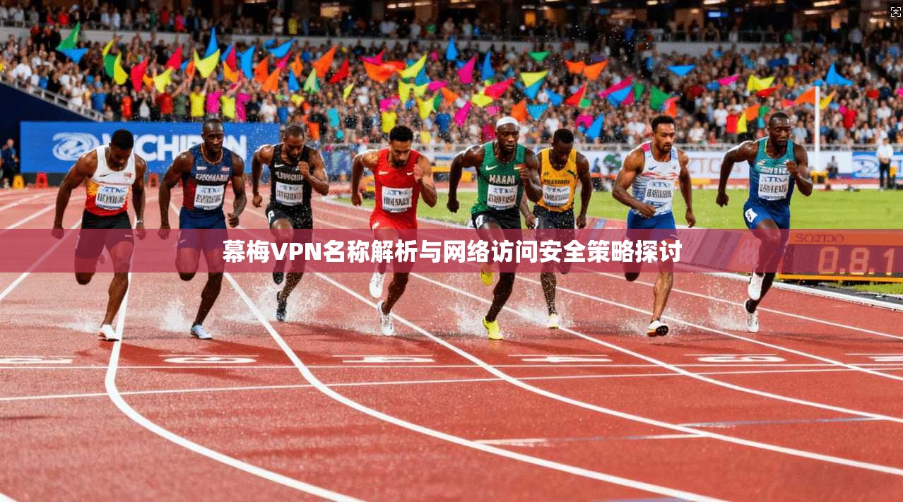 幕梅VPN名称解析与网络访问安全策略探讨