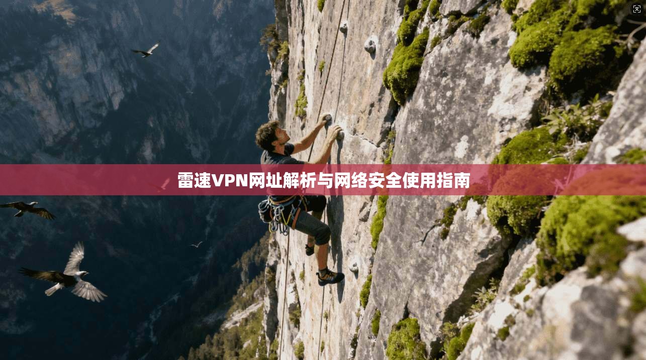 雷速VPN网址解析与网络安全使用指南