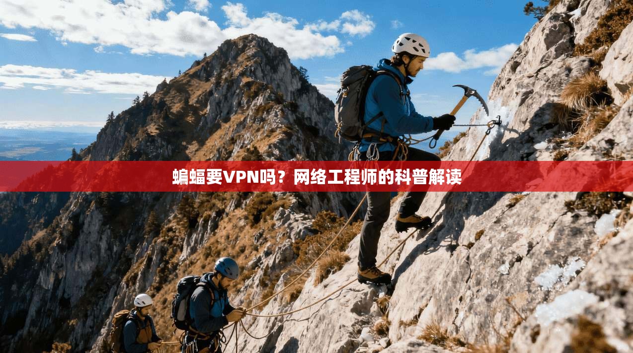 蝙蝠要VPN吗？网络工程师的科普解读